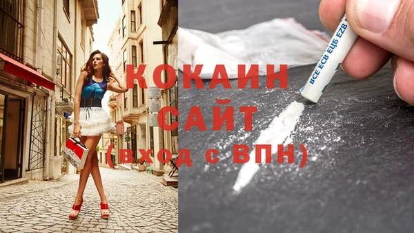 индика Балабаново