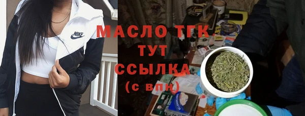 индика Балабаново
