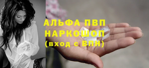 индика Балабаново