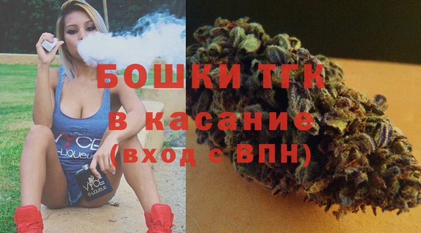 индика Балабаново