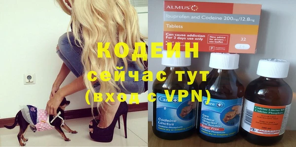 индика Балабаново
