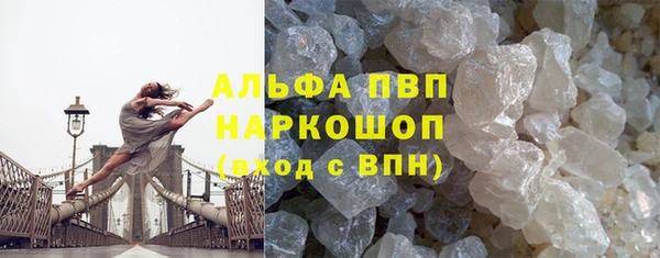 индика Балабаново