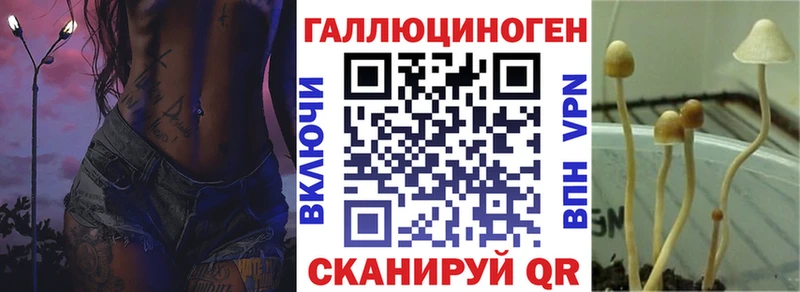 продажа наркотиков  Рудня  Псилоцибиновые грибы ЛСД 